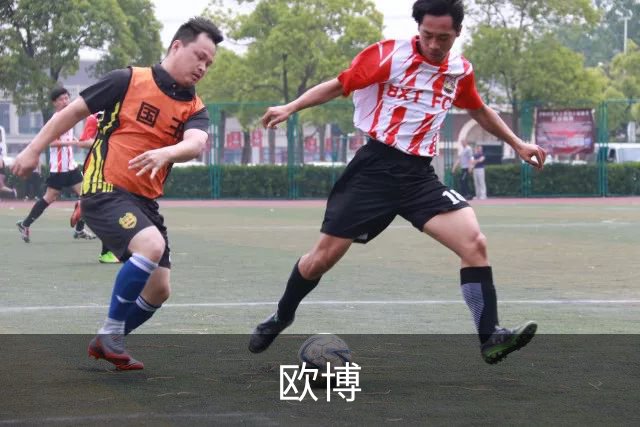 欧博公司简介展示图